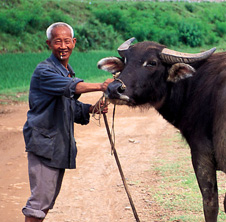 小型飼料顆粒機,農(nóng)民圓夢！